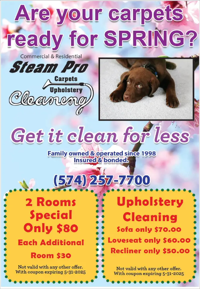 Steam Pro